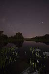 Click to see Y-SIGMA14MM-JPG0167.JPG