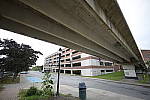 Click to see Y-SIGMA14MM-JPG0269.JPG