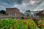 Click to see Y-SIGMA14MM-JPG0275-MOD.JPG