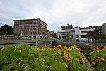 Click to see Y-SIGMA14MM-JPG0275.JPG