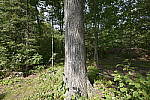 Click to see Y-SIGMA14MM-JPG0374-SHARPNESS-F5.6.JPG