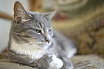 Click to see Y-nikond800e-nikon28f14e-JPG9386.JPG
