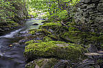 Click to see Y-nikond800e-nikon28f14e-JPG9754-MOD.JPG