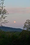 Click to see YBSG-135mm-2241.JPG
