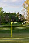 Click to see YBSG-135mm-2269.JPG