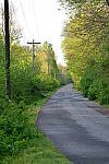 Click to see YBSG-135mm-2276.JPG