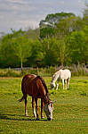 Click to see YBSG-135mm-2301-EDT.JPG