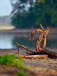 Click to see YBSG-135mm-2308-EDT.JPG