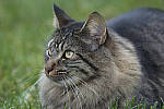 Click to see Y_JPG4785-370mm-f5.6.JPG