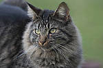 Click to see Y_JPG4794-290mm-f5.6.JPG