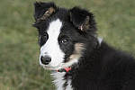 Click to see Y_JPG4815-390mm-f9.JPG