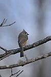 Click to see Y_JPG8502.JPG