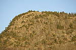 Click to see Y_JPG8562-150mm-f5.6.JPG