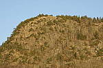 Click to see Y_JPG8563-150mm-f8.0.JPG