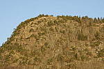 Click to see Y_JPG8564-150mm-f11.JPG