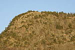 Click to see Y_JPG8565-150mm-f16.JPG