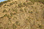 Click to see Y_JPG8568-300mm-f5.6.JPG