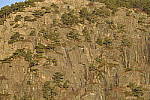 Click to see Y_JPG8569-300mm-f8.0.JPG