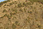 Click to see Y_JPG8570-300mm-f11.JPG