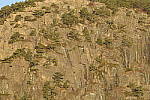 Click to see Y_JPG8571-300mm-f16.JPG