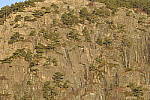 Click to see Y_JPG8572-300mm-f22.JPG