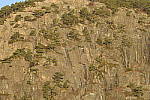 Click to see Y_JPG8573-300mm-f32.JPG