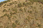 Click to see Y_JPG8574-300mm-f36.JPG