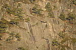 Click to see Y_JPG8575-600mm-f6.3.JPG