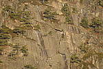 Click to see Y_JPG8576-600mm-f8.0.JPG