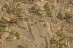 Click to see Y_JPG8578-600mm-f16.JPG