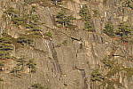 Click to see Y_JPG8580-600mm-f32.JPG
