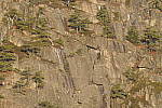 Click to see Y_JPG8581-600mm-f40.JPG