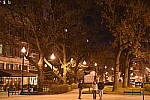 Click to see YDSC_0174.JPG