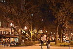 Click to see YDSC_0180.JPG