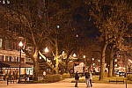 Click to see YDSC_0183.JPG
