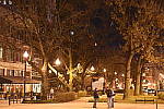 Click to see YDSC_0186.JPG
