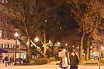 Click to see YDSC_0198.JPG