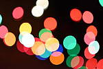 Click to see YDSC_0202.JPG