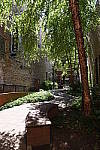 Click to see YDSC_0450.JPG