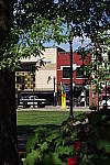 Click to see YDSC_0481.JPG