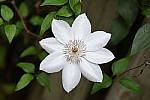 Click to see YE-DSC_1914.JPG
