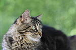 Click to see YG-DSC_2074.JPG