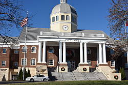 Click to see D810FAR20100.JPG