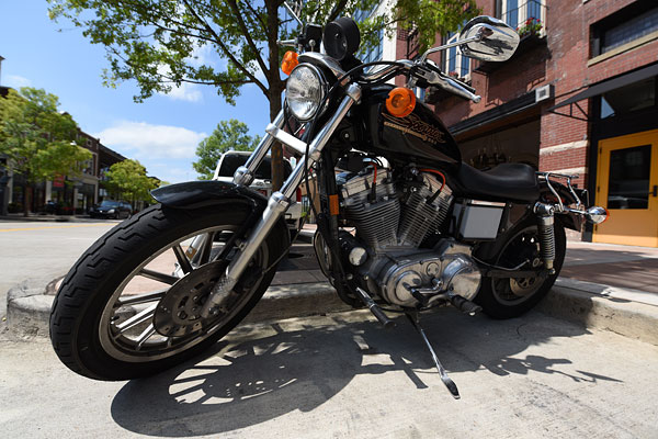 Nikon D810 review -- Sample photo