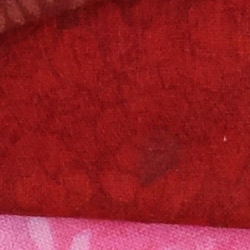 100% crop from Nikon D810 test image taken at ISO 1600