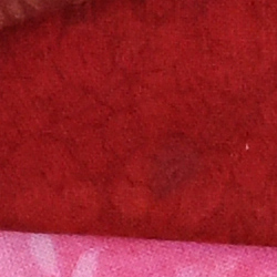 100% crop from Nikon D810 test image taken at ISO 3200