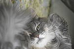 Click to see Y-D850-DSC0390.JPG