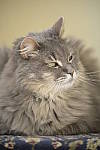 Click to see Y-D850-DSC0444.JPG