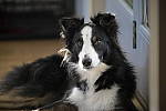 Click to see Y-D850-DSC0537.JPG