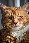 Click to see Y-D850-DSC0642-MOD.JPG